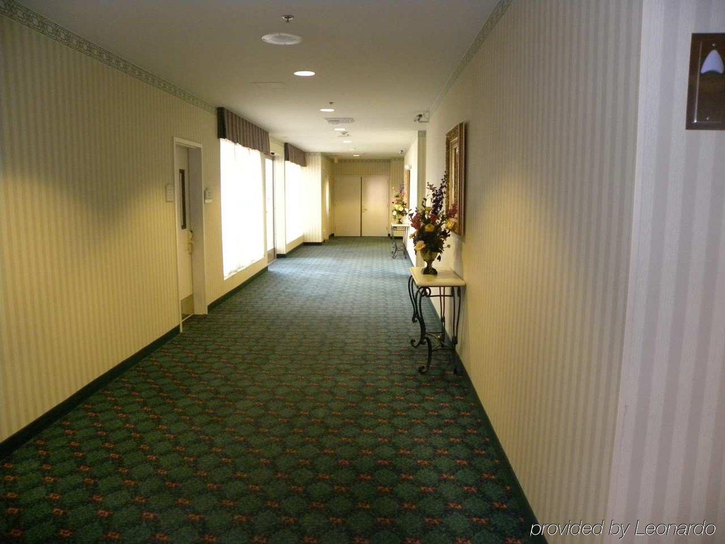 Hilton Garden Inn Palm Springs/רנצ'ו מיראז' מראה חיצוני תמונה