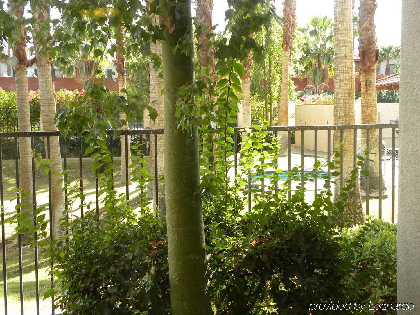 Hilton Garden Inn Palm Springs/רנצ'ו מיראז' מראה חיצוני תמונה